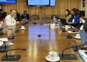 Proyecto de ley busca descentralizar la dirección de ENAMI y modernizar su gobierno corporativo